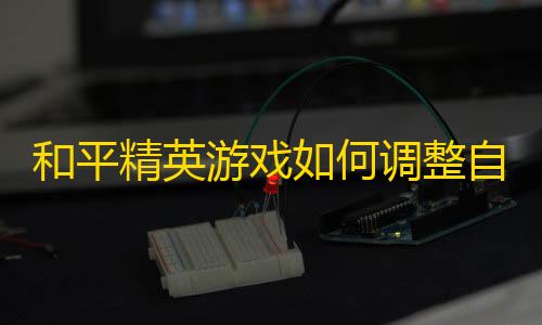 暗区突围RAY官网和平精英游戏如何调整自动瞄准